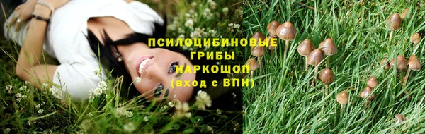 гидра Ханты-Мансийск