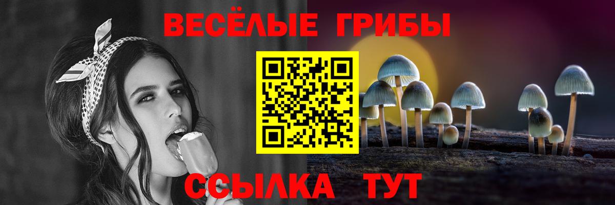 Галлюциногенные грибы Psilocybine cubensis Оренбург